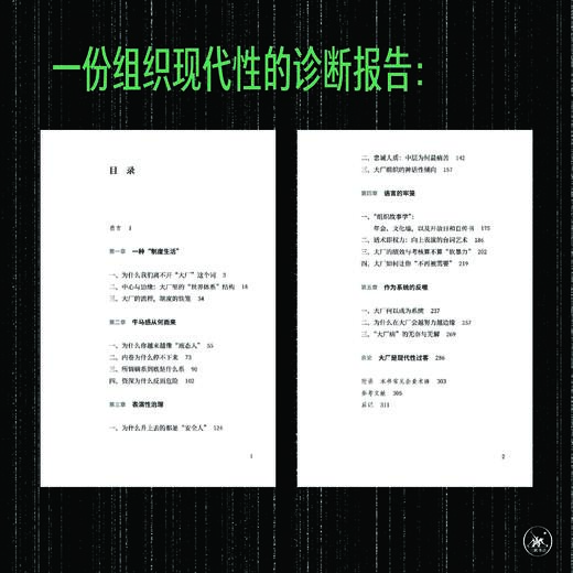 【6月1日现货】大厂病：从个体困境到组织表演 商品图4