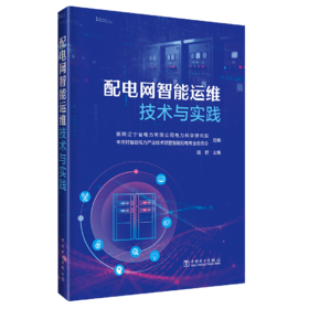 配电网智能运维技术与实践