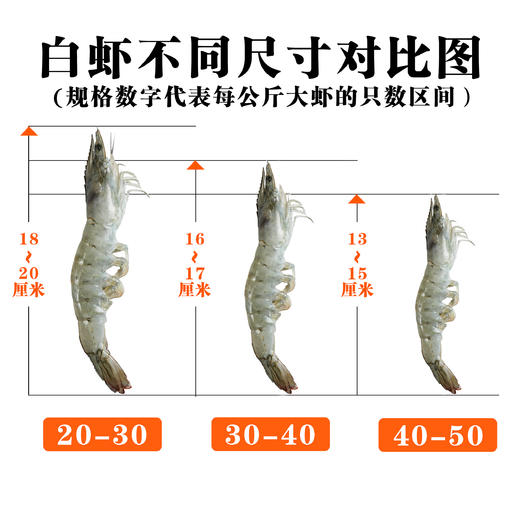 热卖中！顺丰直发！【2026年2月清关新货 原箱进口】厄瓜多尔南美白虾（20-30大规格）净重3.3斤/盒 商品图7