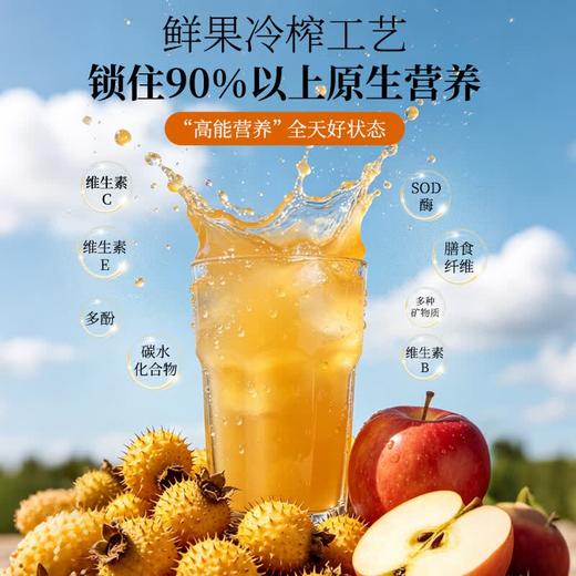 神农金康 有机刺梨原汁50ml*10瓶/盒【升级款】有机刺梨苹果汁100%原汁原浆原液贵州特产 商品图6