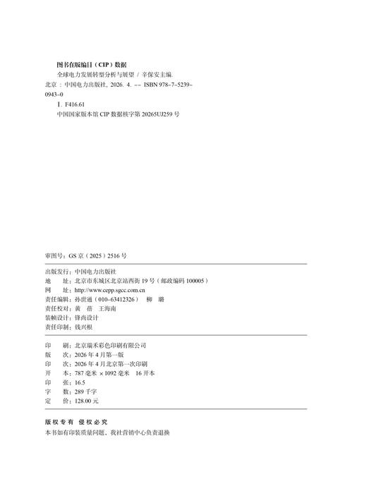 全球电力发展转型分析与展望 商品图3