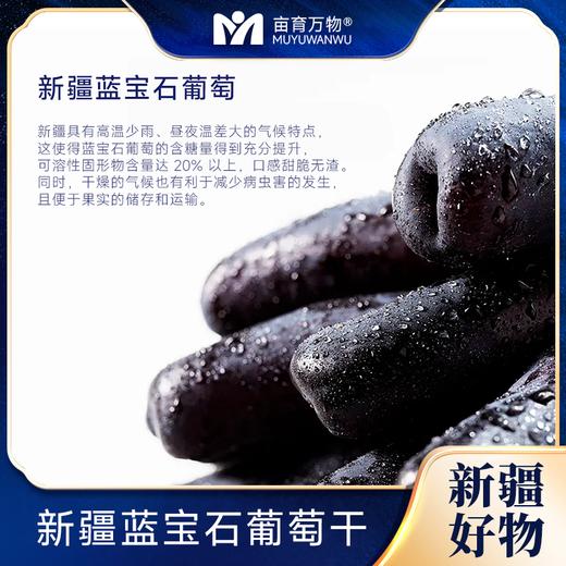 【自然风干 肉厚饱满】新疆蓝宝石葡萄干 黑美人金手指自然提子干500g*2袋 商品图3