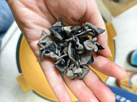 【东北特产黑木耳】纯正野生大兴安岭秋木耳500g 干净 无根肉厚爽脆 内蒙 ⚠️注意食品不支持7天理由退货 商品图2