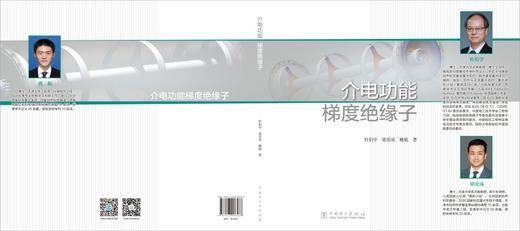 介电功能梯度绝缘子 商品图2