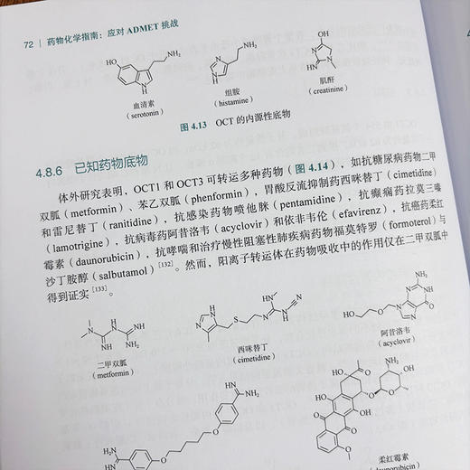 药物化学指南：应对ADMET挑战（中文翻译版） 商品图4