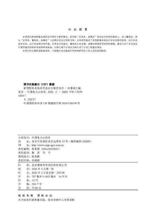 新型配电系统多状态运行管控技术 商品图3