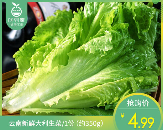 【叼鲜蔬】云南新鲜大利生菜/1份（约350g） 商品图0