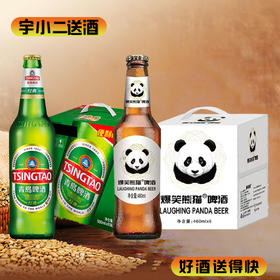 【啤酒】青岛瓶装8°P500ml*6+爆笑熊猫啤酒460ml*6