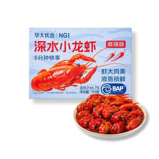 【深水小龙虾】华大优选 BAP认证2026当季鲜虾6-8钱小龙虾加热即食熟食大号虾(蒜蓉味/麻辣味) 商品图1