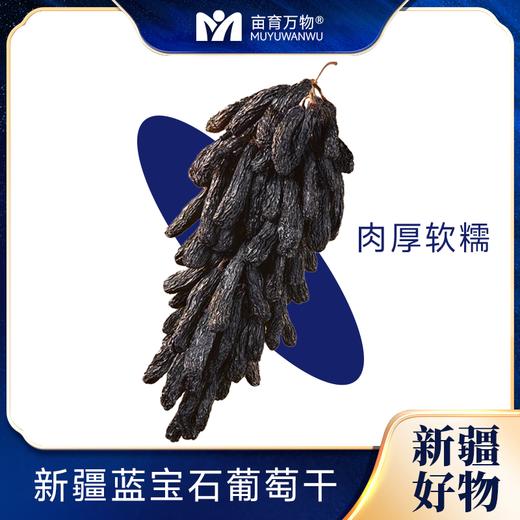 【自然风干 肉厚饱满】新疆蓝宝石葡萄干 黑美人金手指自然提子干500g*2袋 商品图5