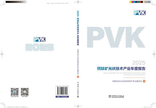 2025钙钛矿光伏技术产业年度报告 商品图0
