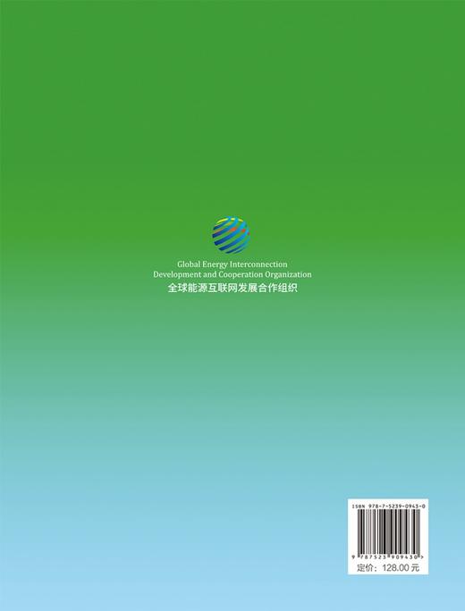 全球电力发展转型分析与展望 商品图2