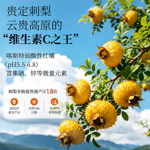 神农金康 有机刺梨原汁50ml*10瓶/盒【升级款】有机刺梨苹果汁100%原汁原浆原液贵州特产 商品图4
