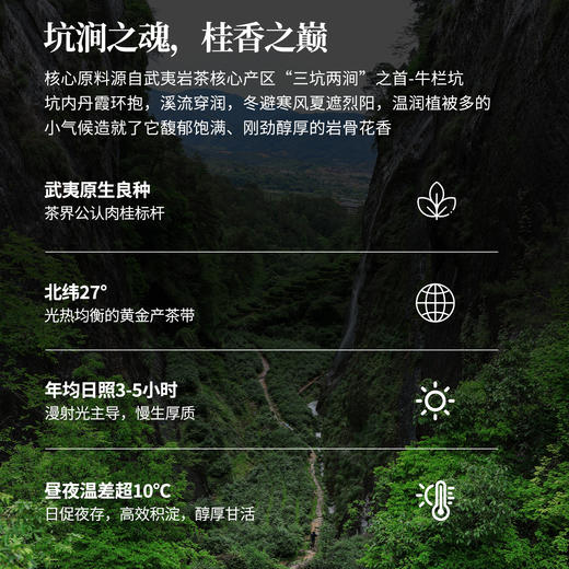 魔造牛肉合集迷你牛肉纯料牛肉，从拼配喝到纯料 商品图4