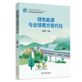 绿色能源与全球南方现代化