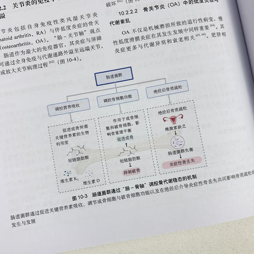 肠道菌群与衰老 商品图4