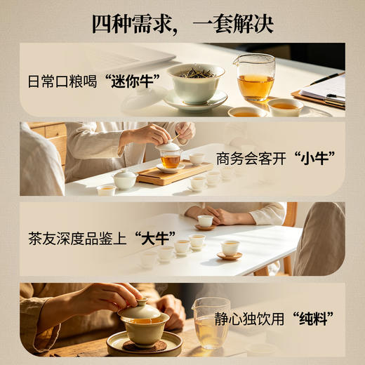 魔造牛肉合集迷你牛肉纯料牛肉，从拼配喝到纯料 商品图3