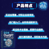 企业级ChatGPT AI大模型应用开发实战（1000分钟视频） 商品缩略图2