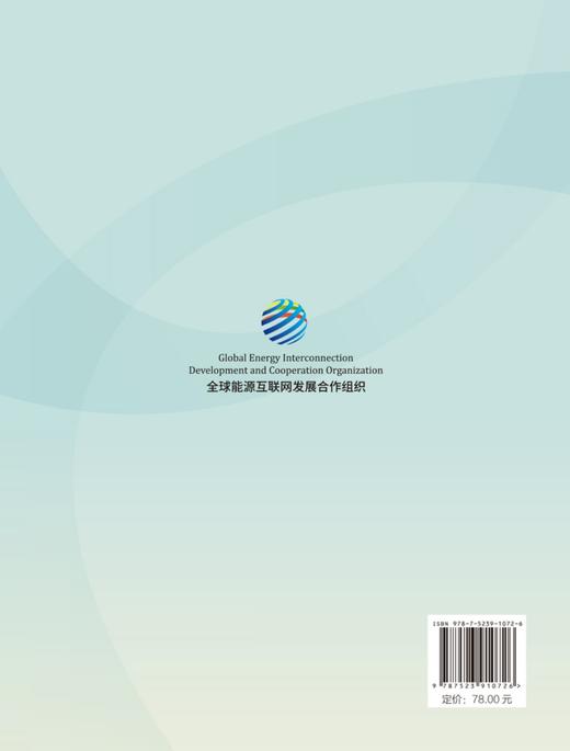 绿色能源与全球南方现代化 商品图2