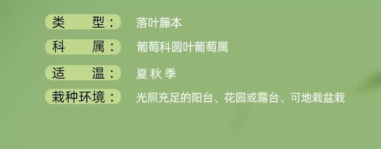 描述3.jpg