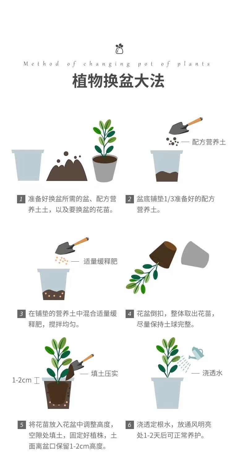 描述11.jpg
