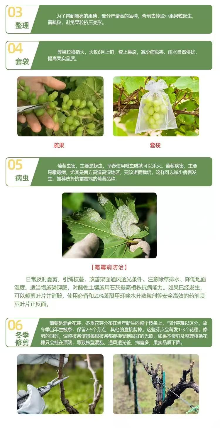 描述9.jpg