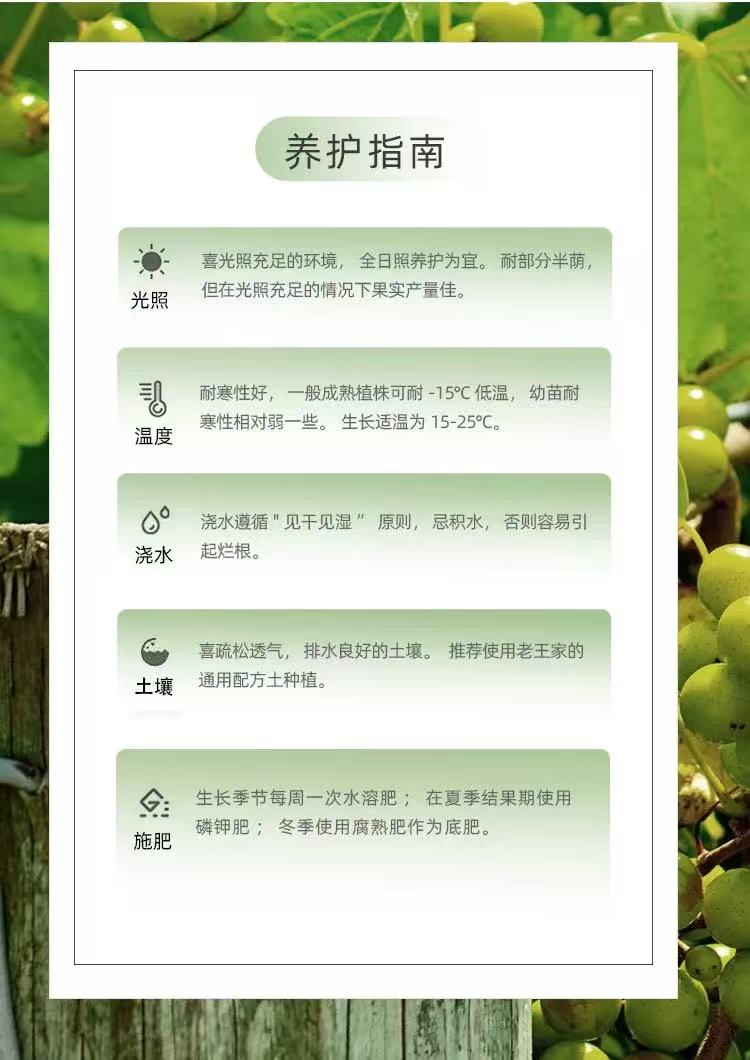 描述10.jpg