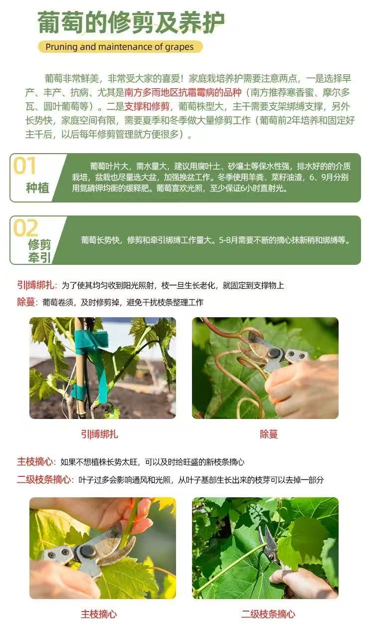 描述8.jpg