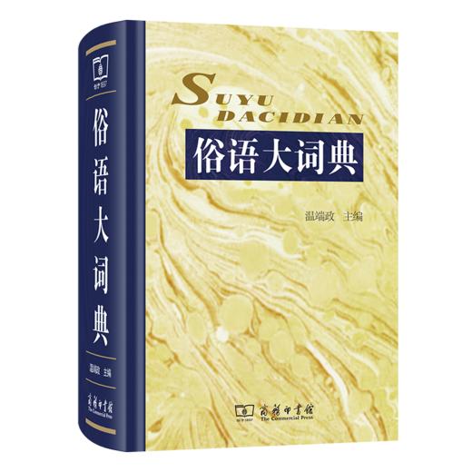 俗语大词典 商品图0