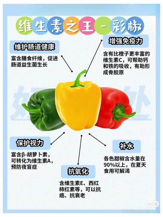 韩国水果彩椒|]它属于甜椒品类，不辣不苦、口感清脆多汁，带有天然清甜，可以像水果一样直接生食🌶️每一颗彩椒均产自韩国GAP认证农场，遵循自然农法栽培，无化学药剂，从源头保障食材的安全与纯净。 商品图8
