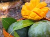 彩虹芒（礼盒装）四川攀枝花芒果新鲜孕妇水果现货9斤包邮 商品缩略图6