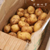 生态老品种小土豆（基地直发-中通包邮）| 1.5kg/2.5kg，来自湖北咸宁，生产者：沈师杰【合作生产，公平贸易】 商品缩略图5