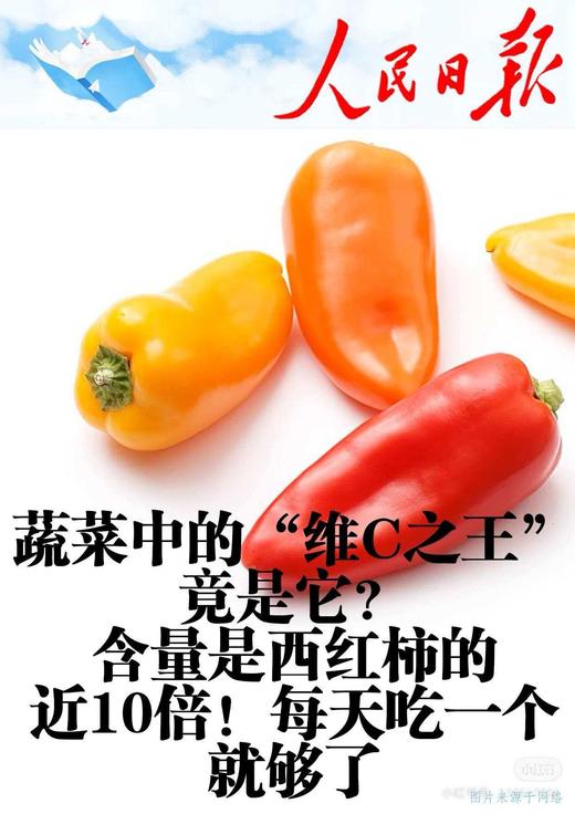 韩国水果彩椒|]它属于甜椒品类，不辣不苦、口感清脆多汁，带有天然清甜，可以像水果一样直接生食🌶️每一颗彩椒均产自韩国GAP认证农场，遵循自然农法栽培，无化学药剂，从源头保障食材的安全与纯净。 商品图10