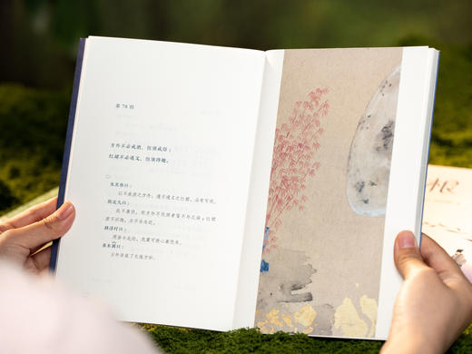 《中国古人处世四大奇书》（精美函套全4册）| 作家榜招牌名作，忠实原著、完整典藏，治愈百年的生活美学百科全书，提升智慧、滋养性情 商品图8