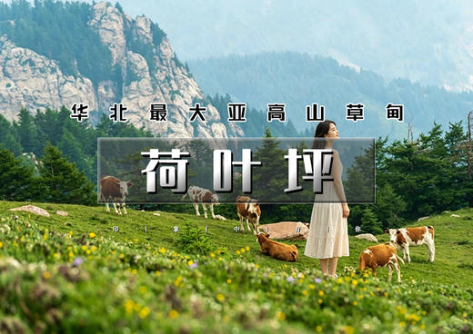 端午3天｜荷叶坪徒步｜ 华北最大亚高山草甸の又见消失的月亮门-马伦草原-忻州古城 商品图0