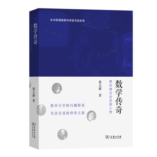 数学传奇——那些难以企及的人物 商品图0