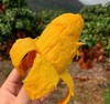 贵妃芒果（礼盒装）四川攀枝花芒果新鲜孕妇水果现货9斤包邮贵妃芒果 商品缩略图5