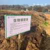 生态老品种小土豆（基地直发-中通包邮）| 1.5kg/2.5kg，来自湖北咸宁，生产者：沈师杰【合作生产，公平贸易】 商品缩略图7