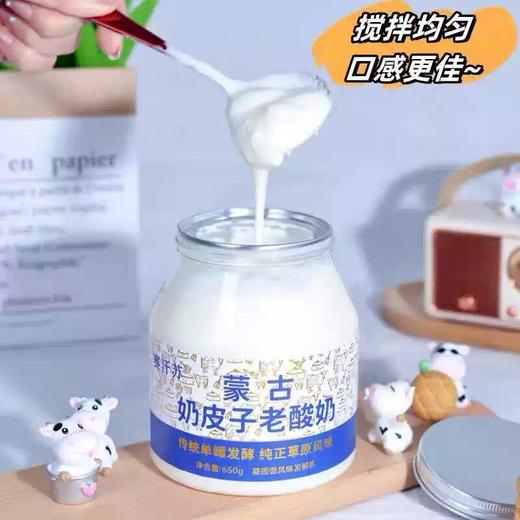 赛汗苏650g奶皮子老酸奶 商品图3