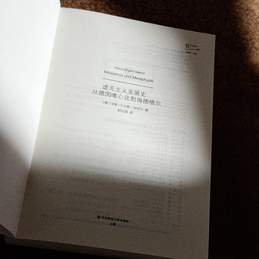 虚无主义发展史 从德国唯心论到海德格尔 德国唯心论 西方形而上学 商品图5