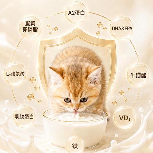 宝莱美露猫咪配方羊奶粉200g全期通用幼猫羊奶粉猫咪保健品补营养 商品图3