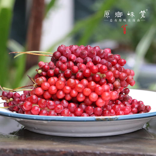 秦岭野态 · 五味子蜜膏（成都仓库-顺丰快递）| 150g/瓶，来自陕西秦岭，生产者：刘蜜书古法养蜂保育会【合作生产，公平贸易】 商品图9