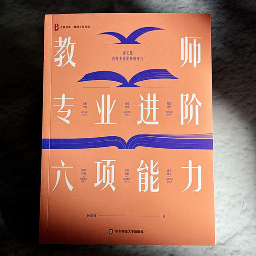 教师专业进阶六项能力 大夏书系 教师专业发展 钟建林 商品图1