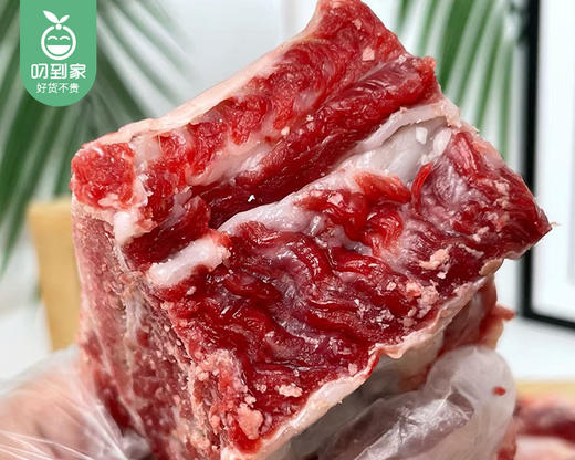 鹭臻鲜黄牛牛肋排（冷藏）/1份（500g±15g） 商品图2