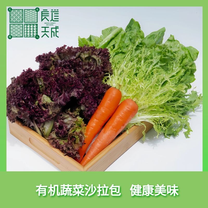 有机蔬菜沙拉包 夏日的冷吃 简约的健康 1.5Kg