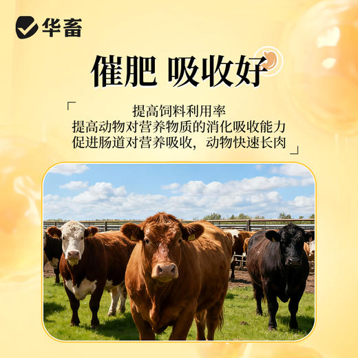 华畜酵母蛋白肽20kg提高饲料转化率 商品图3