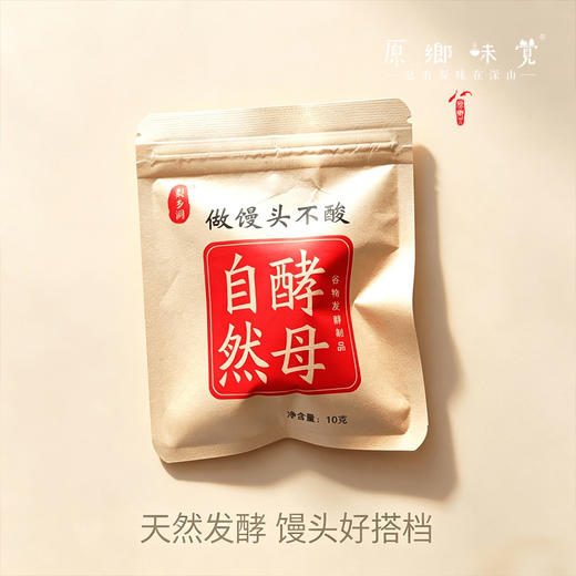 自然/粮食酵母（成都仓库-顺丰快递）| 10g/袋，来自山东济宁，生产者：吕志政【合作生产，公平贸易】 商品图1