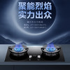 海尔（Haier）灶具 JZT-QG31U9(12T) 商品缩略图0