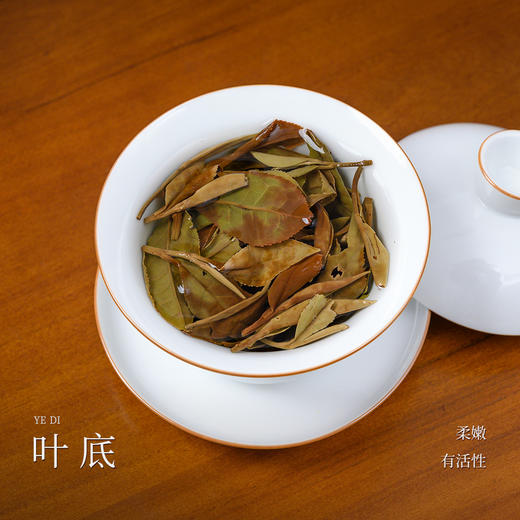 懂茶帝-2024雷建明有机春牡丹（草木间）50g 商品图3