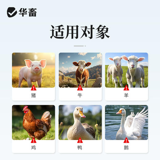 华畜酵母蛋白肽20kg提高饲料转化率 商品图6